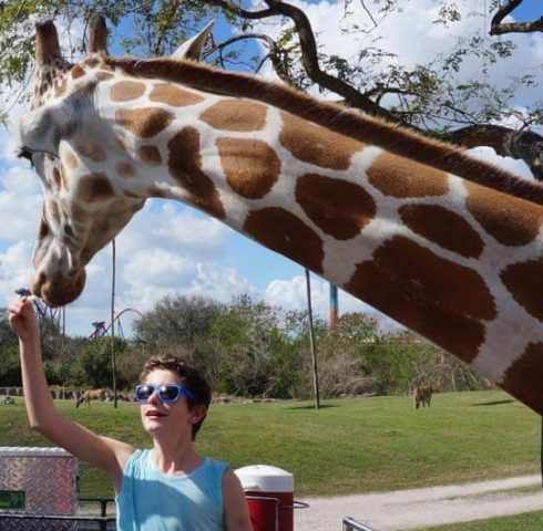 Ga op safari en krijg kriebels op de rollercoasters