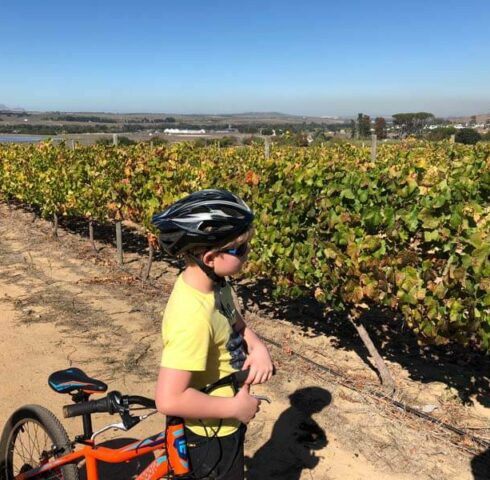 Wijn en druivensapjes proeven in Stellenbosch