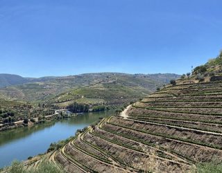 Cruisen langs de wijnranken op de Douro rivier