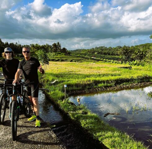 Fietsen tussen de rijstvelden