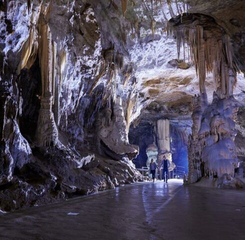 Babydraken spotten in de Postojna grotten