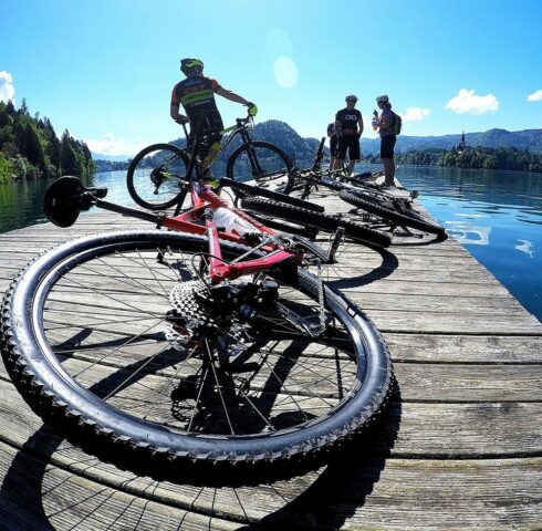 Bike en relax in boomhut rond Bled