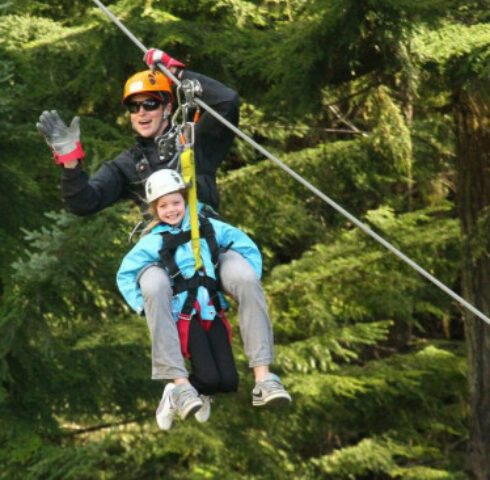 Zippen en trippen in de bergbossen