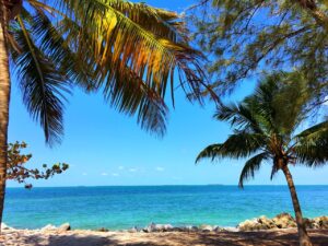 Strand en palmbomen bij Key West