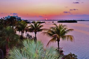 Roze avondgloed bij Key West