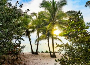 Strand bij Key West