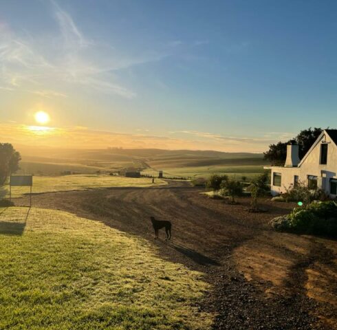 Boerderij in het groen in het Zuid-Afrika