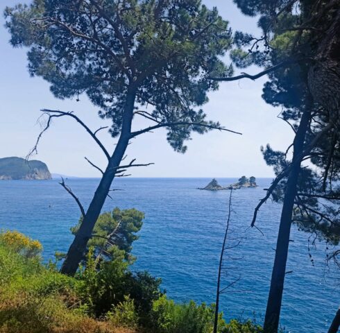 Heerlijke hike in Petrovac