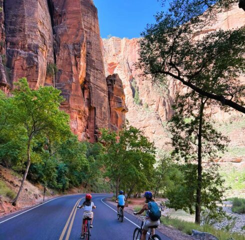 Cruisen door Zion National Park