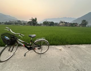 Fietsen tussen rijstvelden in Mau Chau