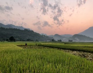 Bergen en rijstvelden in Vietnam