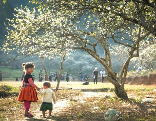 Kinderen op het Vietnamese platteland