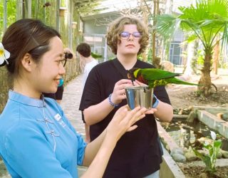 Tiener bij papegaai in vogelpark Hué