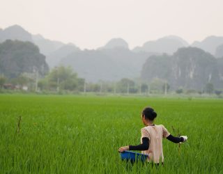 Vrouw in rijstveld in Ninh Binh