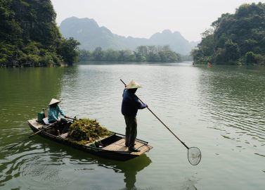 Bijzondere boottocht in Ninh Binh