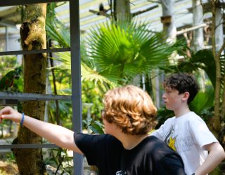 Kinderen bij papegaai in vogelpark Hué