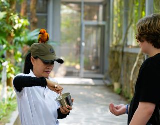 Vogel op hoofd in vogelpark Hué