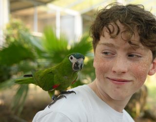 Vogel op schouder tiener in vogelpark Hué