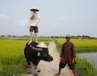 Kind op waterbuffel in Hoi An