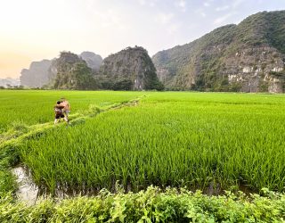 Papa en kind bij rijstvlakte en karstgebergte in Ninh Binh