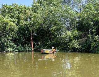 Visser in Mekong Delta