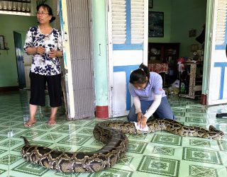 Familie bij python in Mekong Delta Vietnam