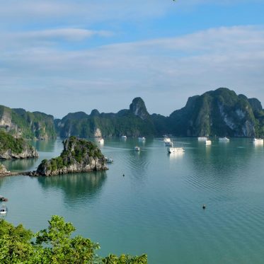 Boten en karstgebergten Halong Bay Vietnam