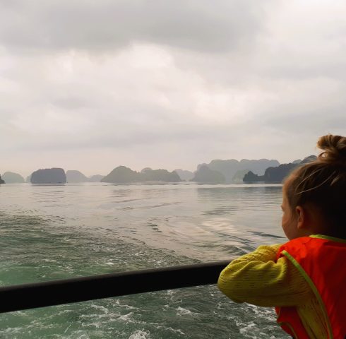 Coole cruise door Halong Bay