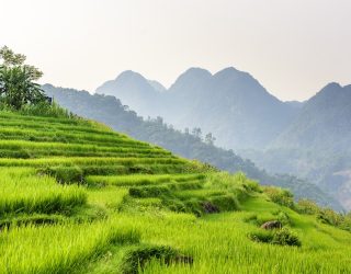 Rijstterrassen Pu Luong Vietnam