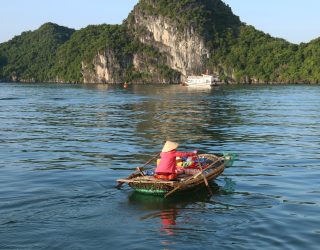 Visser tussen de karstgebergten in Halong Bay Vietnam