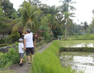 Familie Frantzen wandelt tussen de rijstvelden in Bali