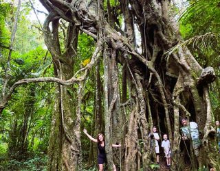 Familie Frantzen in jungle van Bali