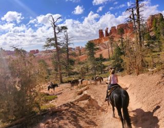 Familie met kinderen te paard door Bryce Canyon West-USA