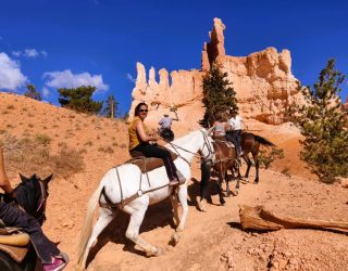 Gezin met paarden door Bryce Canyon West-USA