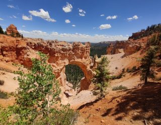 Bryce Canyon Westkust Amerika