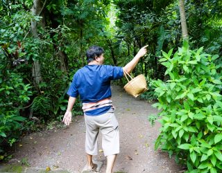 Op ontdekking in de tuin van Lanna-familie Chiang Mai Thailand