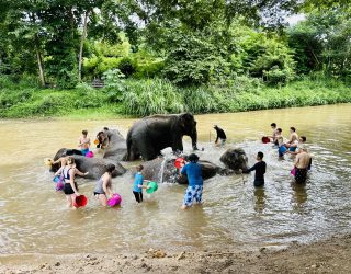 Familie wast olifanten Chiang Mai Thailand