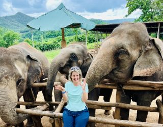 Mama bij olifanten Chiang Mai Thailand