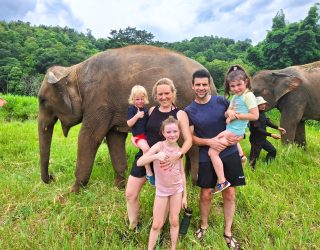 Familie bij olifanten Chiang Mai Thailand