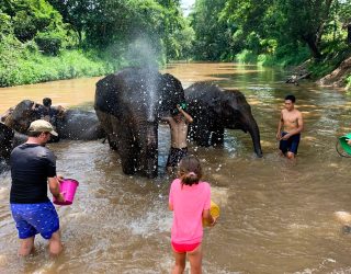 Gezin wast olifanten in Chiang Mai Thailand