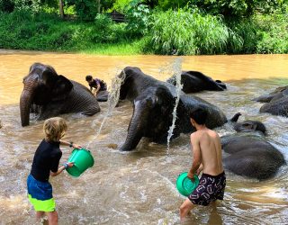 Kinderen wassen olifanten in Chiang Mai Thailand