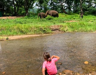 Kind bij olifanten in Chiang Mai Thailand