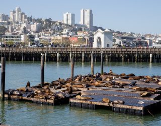 Fisherman's wharf - pier 39 San Francisco