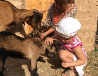 Kind aait geitje op boerderij Takerkoust Marokko