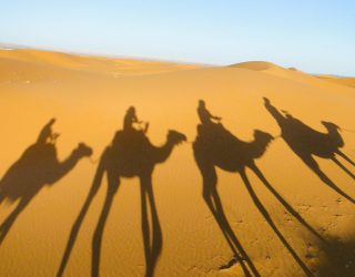 Familie rijdt op kameel in woestijn Erg Chebbi