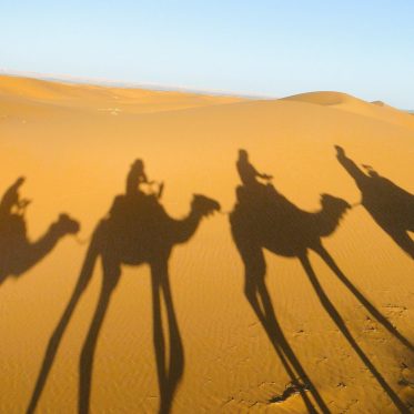 Familie rijdt op kameel in woestijn Erg Chebbi