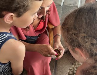 Kinderen laten toekomst voorspellen via koffiedik uit Griekse koffie