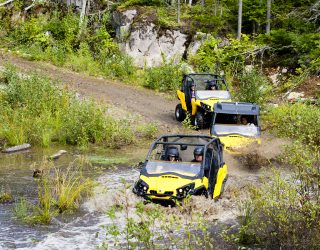 Buggy rijden bij hotel Saint-alexis-les-monts Canada