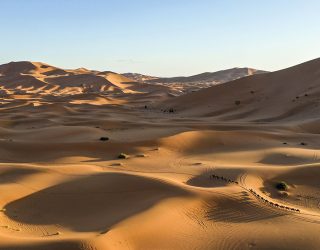 Op kamelen door de woestijn in Erg Chebbi Marokko