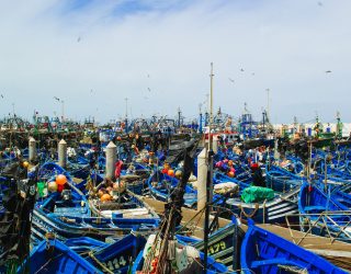 Meeuwen en vissersboten Essaouira Marokko